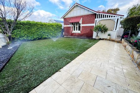 Reticulation Project 2
