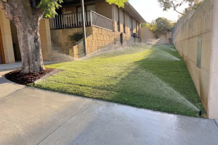 Reticulation Project